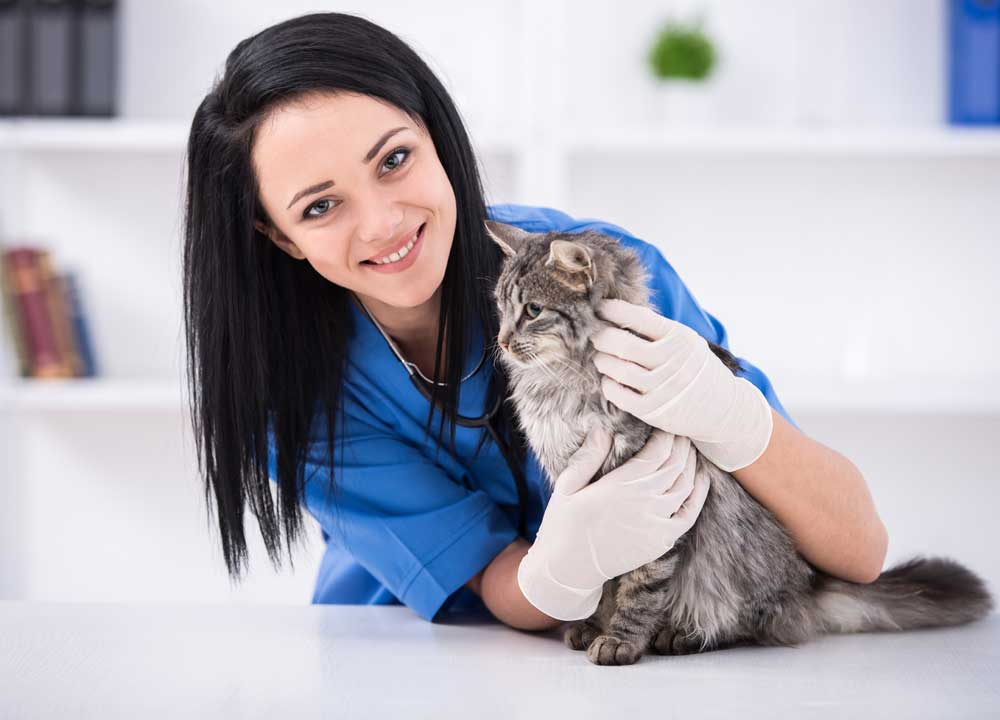 pets-and-pet-care